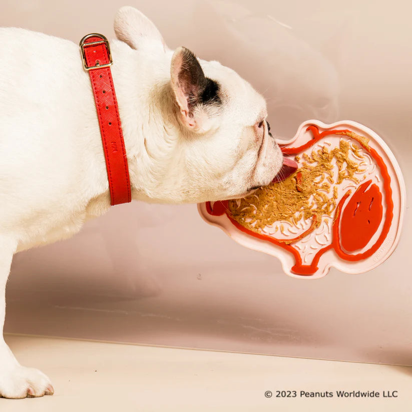 The Ultimate Guide to Keeping Your Dog Happy and Healthy with Bark Road