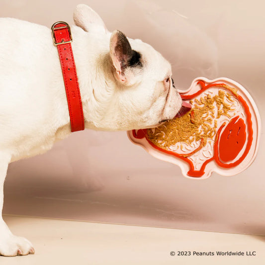 The Ultimate Guide to Keeping Your Dog Happy and Healthy with Bark Road
