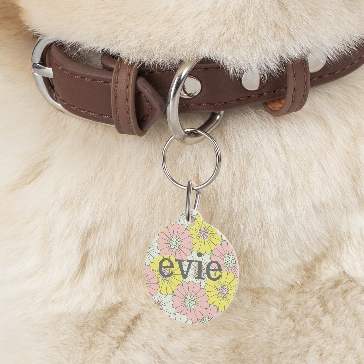 Pet Tag