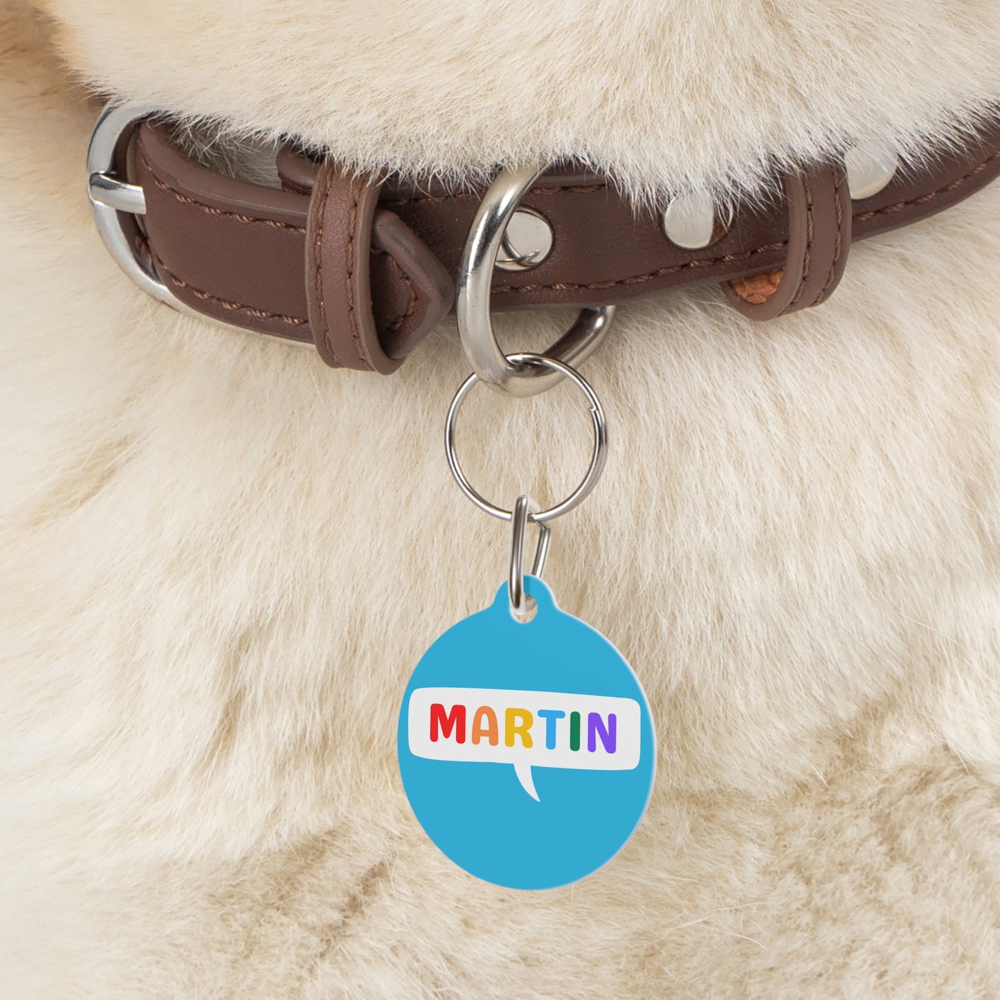 Pet Tag