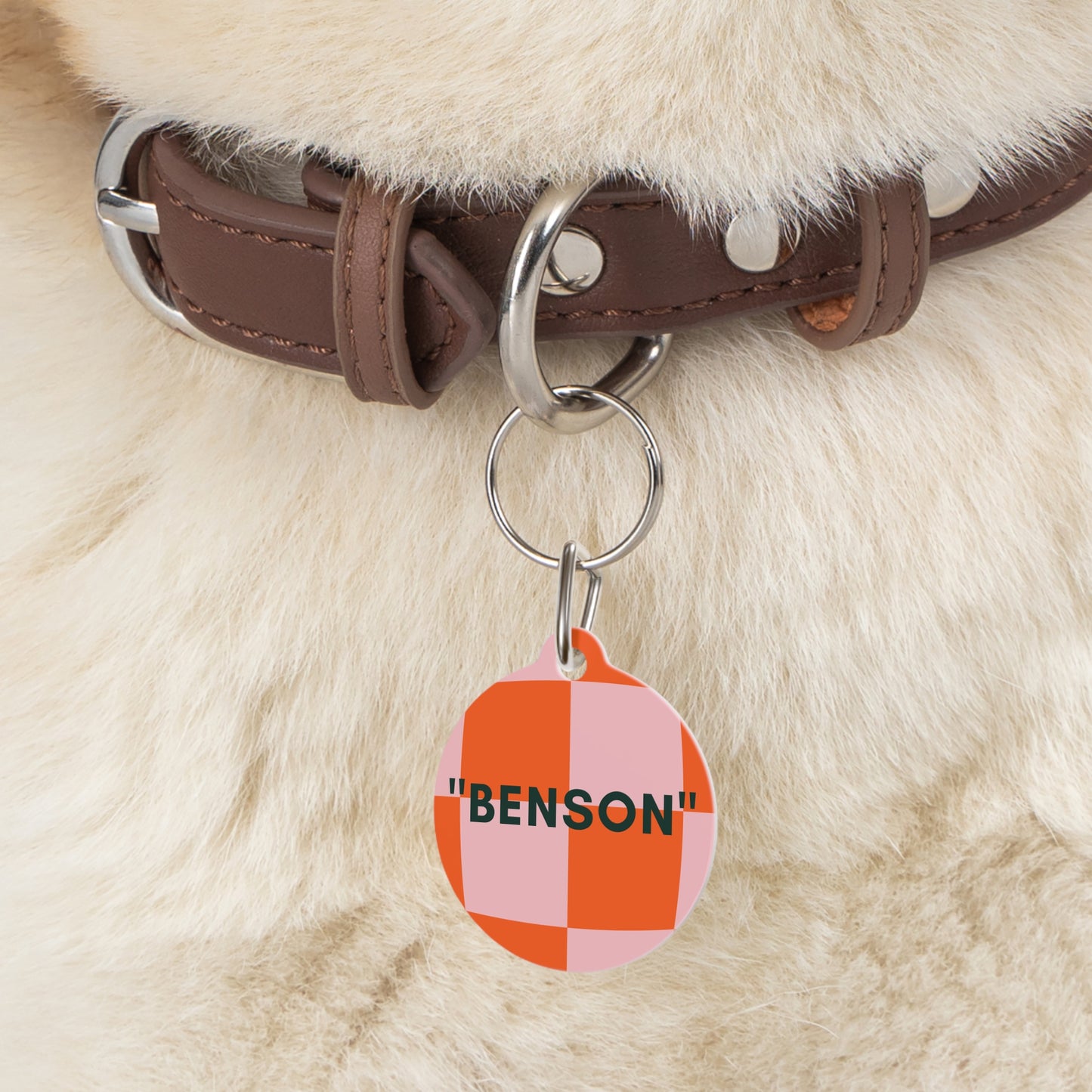 Pet Tag