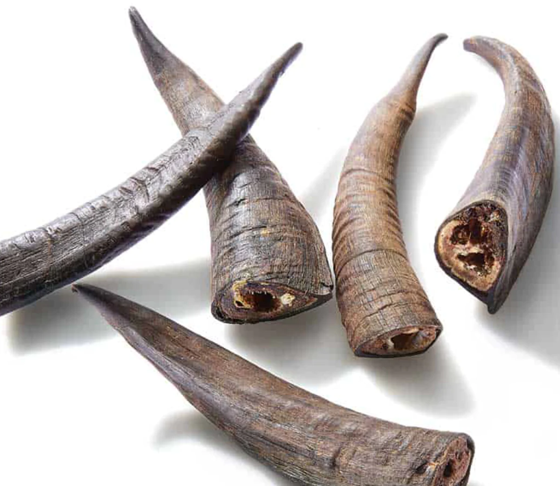 Goat Horn