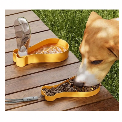 Chicky Sips & Snacks