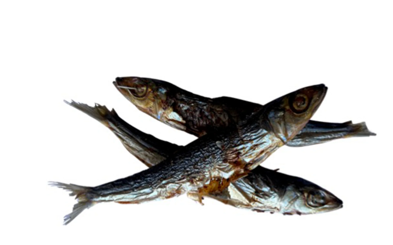 Sardines Snacks