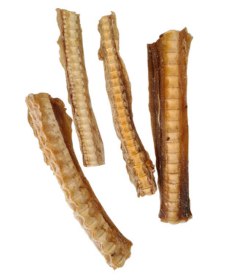 🦈 Cartilage Chews