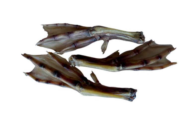 Duck Feet