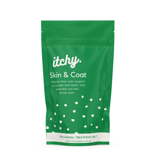 Skin & Coat