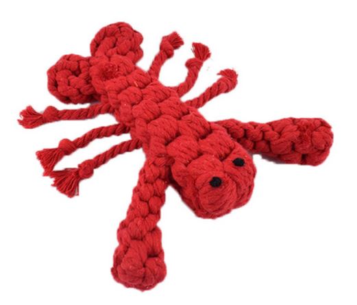 Rope Toy