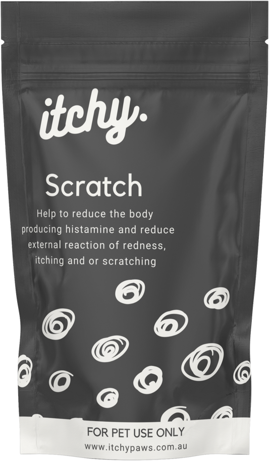 Scratch