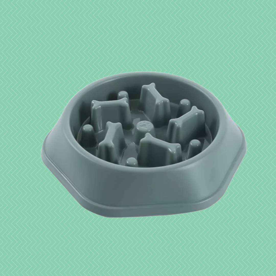 Pet Bowl