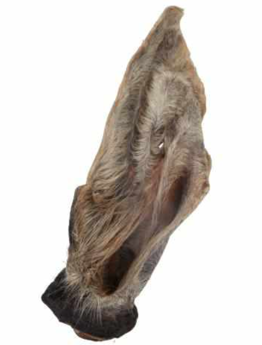 Cows Ear with Fur