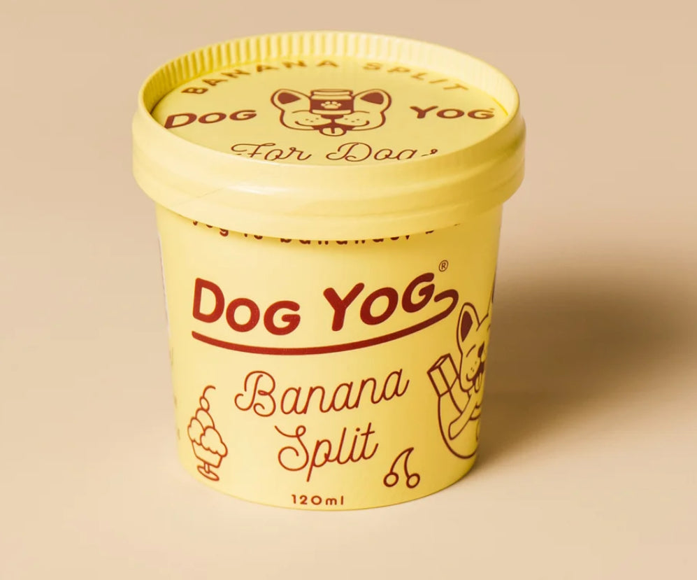 Dog Yog  Ice Cream for Dogs