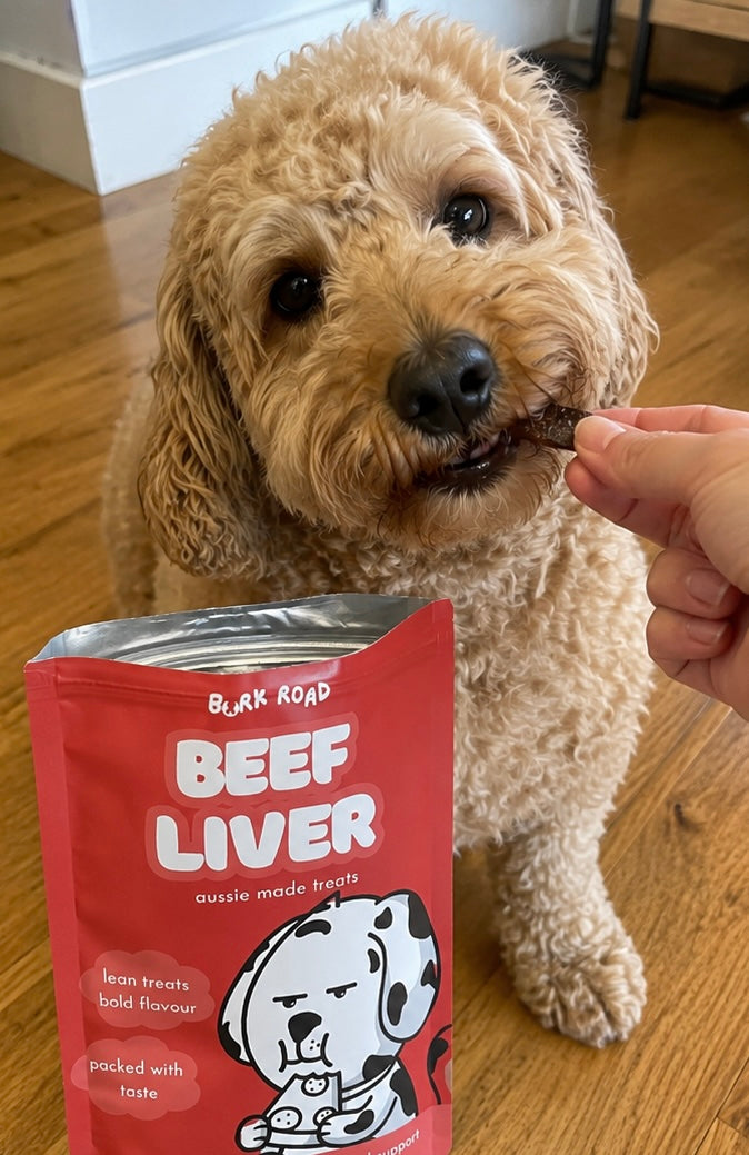 Dog being offered Bark Road Beef Liver dog treats