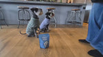 Dog enjoying Bark Road Fish Bites in a customer-style treat video