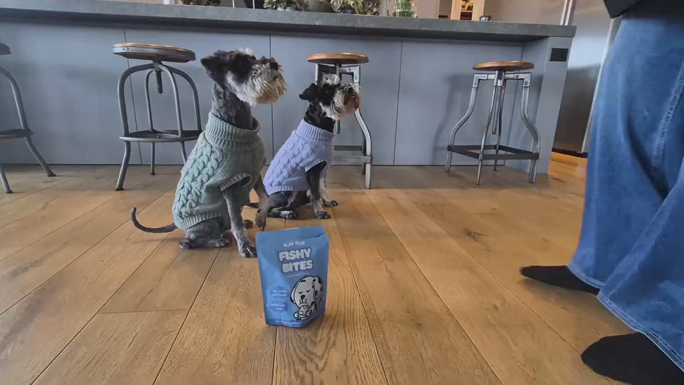 Dog enjoying Bark Road Fish Bites in a customer-style treat video